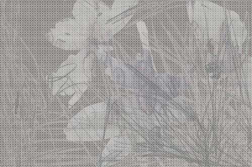 Tapeta Roślinny Motyw Tecnografica 56601-2 Fanciulla Anthracite