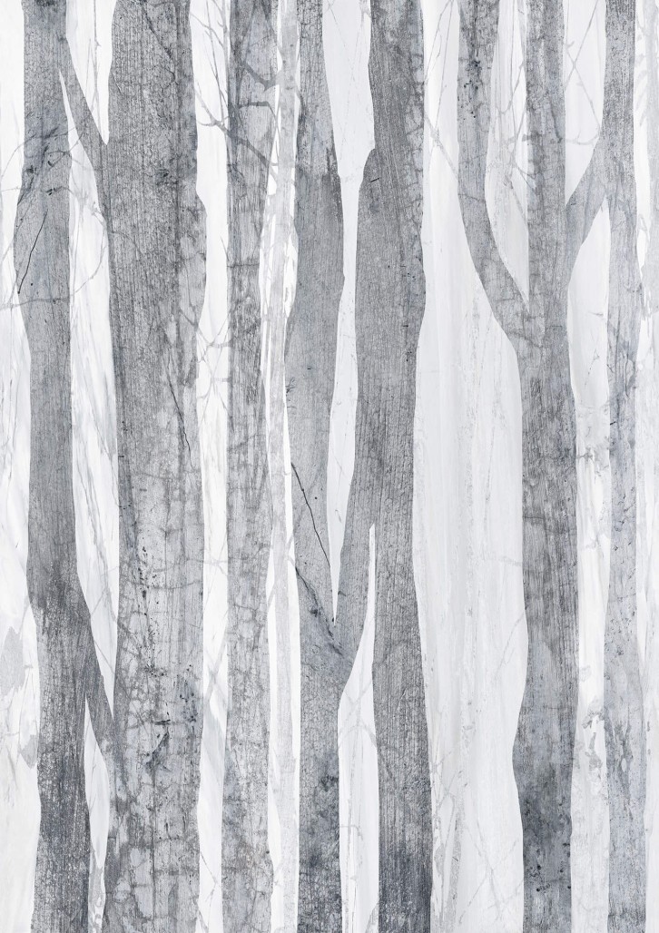 bbe5c457a923a5f824d63323d2edaa13