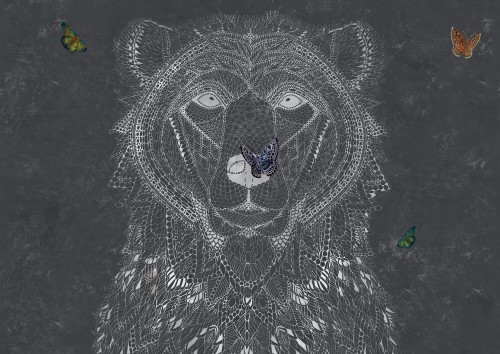 Tapeta Niedźwiedź Tecnografica 61084 Ursidae Dark