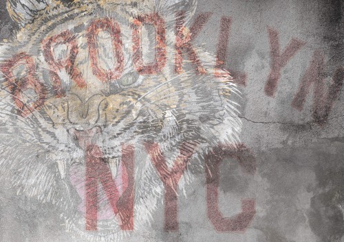 Tapeta z tygrysem Tecnografica 61999 Gerty Red