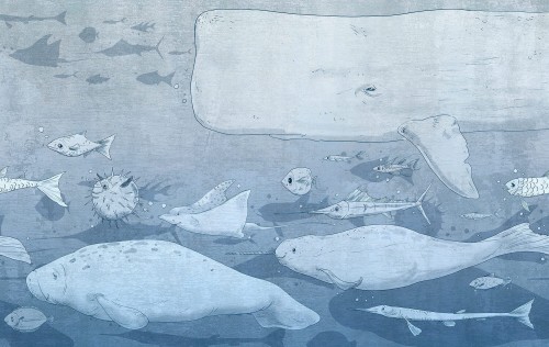 Tapeta Morskie Stworzenia Tecnografica 76033-1 Jonah Ocean