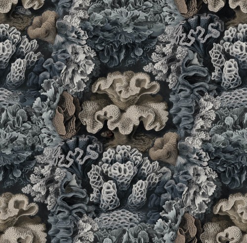 Tapeta w koralowce Rebel Walls R17483 Aqulia Teal Oddity