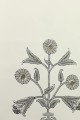 Tapeta kwiaty Thibaut T10666 Indian Flower Ceylon