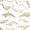 Tapeta z morskimi zwierzętami Caselio SYO 102790266 Whale Done Sea You Soon