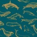 Tapeta z morskimi zwierzętami Caselio SYO 102796203 Whale Done Sea You Soon
