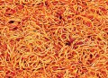 Tapeta Spaghetti London Art 04TP 01 Kitchen Confidential Luxury Shit Toiletpaper