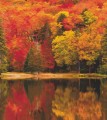 Mural z motywem lasu Casadeco BFM 87103813 Autumn Beauty Full Image 2