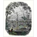 Mural z botanicznym krajobrazem Caselio BFM 102397070 Jardin D'hiver Beauty Full Image 2