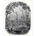 Mural z botanicznym krajobrazem Caselio BFM 102399000 Jardin D'hiver Beauty Full Image 2