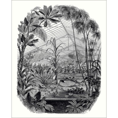 Mural z botanicznym krajobrazem Caselio BFM 102399000 Jardin D'hiver Beauty Full Image 2