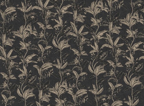 Fototapeta Tropikalna Tecnografica 75158-4 Darwin Noir Expedition