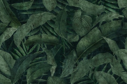 Tapeta tropikalne liście London Art T07S01 1 REMEMBER The Daydreamer