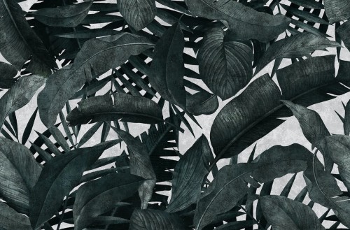 Tapeta tropikalne liście London Art T07S01 3 REMEMBER The Daydreamer