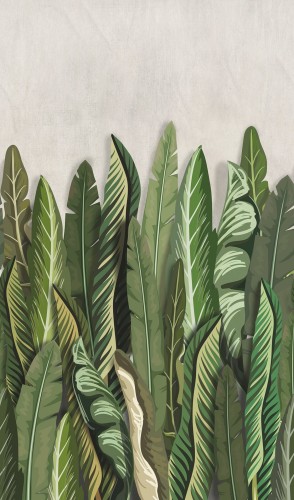 Fototapeta Liście Bananowca Marburg 47205 Smart Art Easy