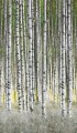 Fototapeta Las Brzozowy Marburg 47220 Smart Art Easy