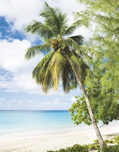 Fototapeta Tropikalna Plaża Marburg 47269 Smart Art Easy