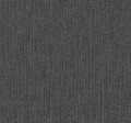 Tapeta York HO2139 Feather Fletch Ronald Redding Traveler