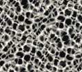 Tapeta Cętki York HO2164 Leopard Rosettes Ronald Redding Traveler