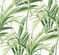 Tapeta Liście Palm York TC2601 Tropical Paradise Tropics Resource Library