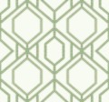 Tapeta Kratownica York TC2631 Sawgrass Trellis Tropics Resource Library