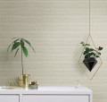 Tapeta York TC2662 Boucle Tropics Resource Library