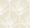 Tapeta Liście York TC2672 Bird Of Paradise Tropics Resource Library