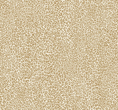 Tapeta Cętki York TC2681 Leopard King Tropics Resource Library
