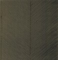 Tapeta Jodełka York TC2696 Palm Chevron Tropics Resource Library