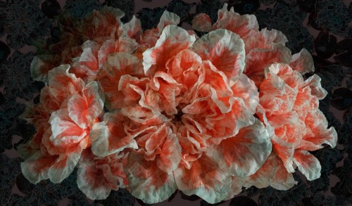 Fototapeta Tecnografica 70253-1 Giorgia Beltrami: Emotion Smooth