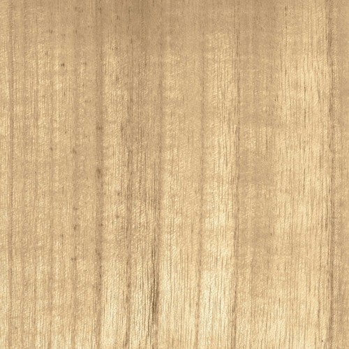 Tapeta Fornir CMO Paris Bois Blond WBO 01 20 Wood Wallcovering