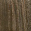 Tapeta Fornir CMO Paris Bois Ecorce WBO 01 75 Wood Wallcovering