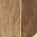 Tapeta Geometryczna Naturalna CMO Paris Murier Ovale Tabac Blond Or WMU 02 25 Mulberry Wallcovering
