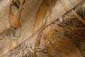 Mural zwierzęta i rośliny Arte 97631 Milk And Honey Decors & Panoramiques