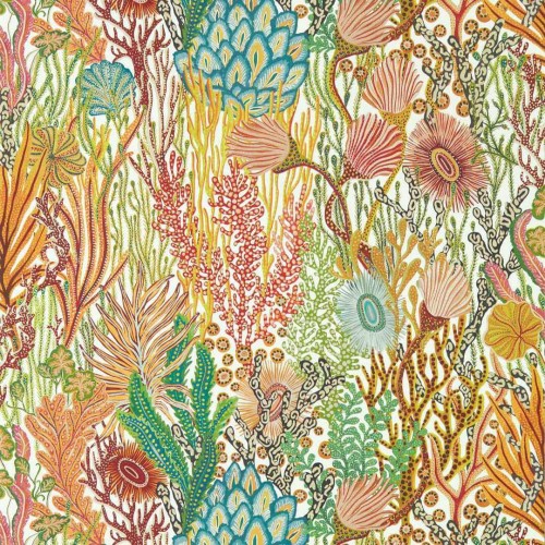 Tapeta Koralowce i Wodorosty Harlequin Acropora 112779 Colour I