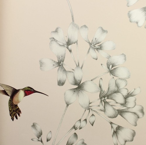Tapeta Ptaki i Kwiaty Harlequin Amazilia 112606 Colour I