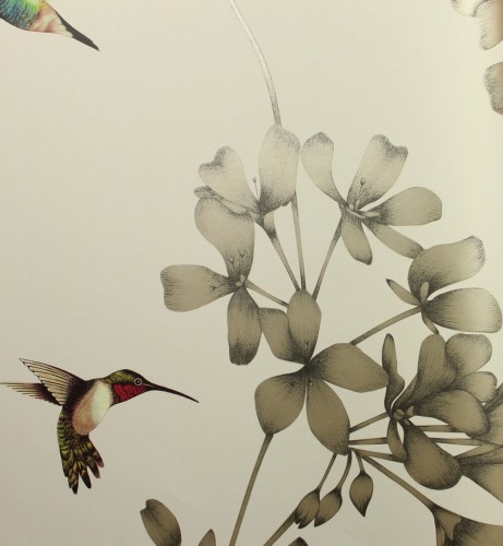 Tapeta Ptaki i Kwiaty Harlequin Amazilia 112607 Colour I