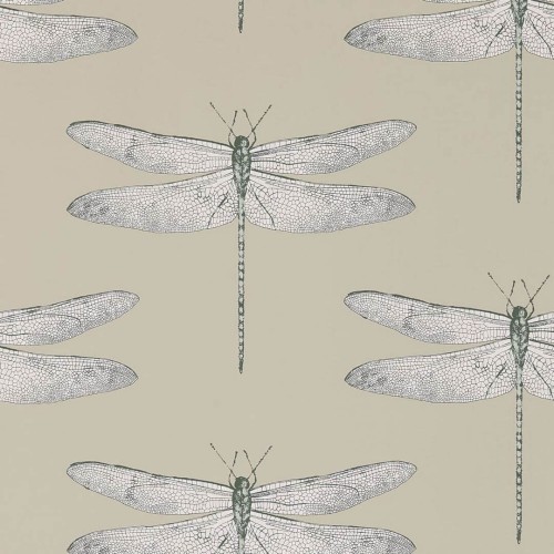 Tapeta Ważki Harlequin Demoiselle 111241 Colour I