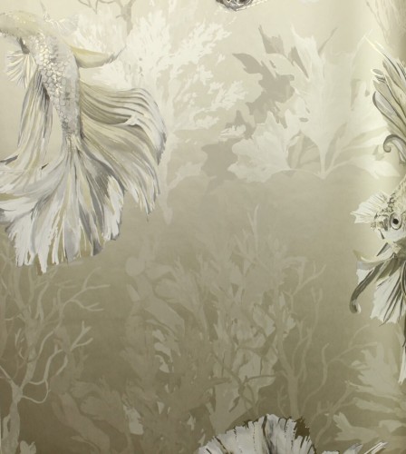 Tapeta Ryby Harlequin Halfmoon 112765 Colour I