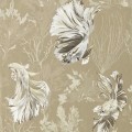 Tapeta Ryby Harlequin Halfmoon 112765 Colour I
