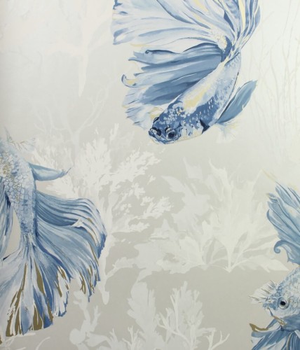 Tapeta Ryby Harlequin Halfmoon 112766 Colour I