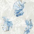 Tapeta Ryby Harlequin Halfmoon 112766 Colour I