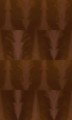 Fototapeta Nowoczesna London Art 21029 02 Radical Exclusive Wallpaper 2021