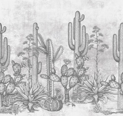 Fototapeta Kaktusy London Art 21038 02 San Pedro Exclusive Wallpaper 2021