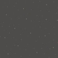Tapeta w gwiazdki Caselio FRT102969983 Under The Stars La Foret