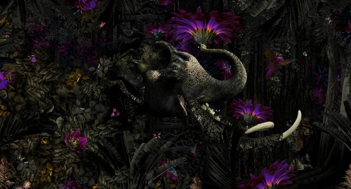 Tapeta Dżungla Muance MU13026 Słoń Mumba Kanda Amber