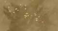 Tapeta Minimalistyczna Muance MU13050 Cherry Flight Amber