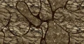 Tapeta Nowoczesna Muance MU13056 A Line In The Sand Amber