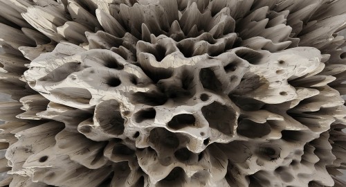 Tapeta Koralowce Muance MU13095 Coral On The Wall Amber