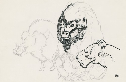 Fototapeta zwierzęta 75761-1 Bestiario WHITE Andrea Pazienza