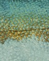 Mural w łuski ryby Casadeco LEAT87197122 Scales S Leathers